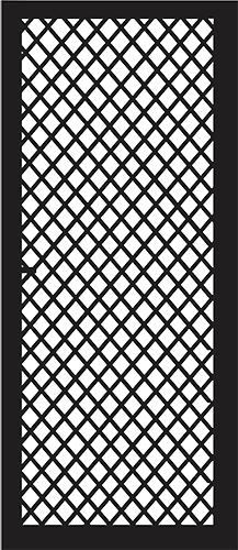 Pinto — line drawing